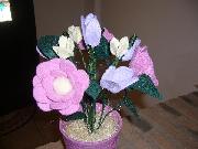 maison soriano per il tuo home decor